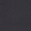 Explorer 9" Short