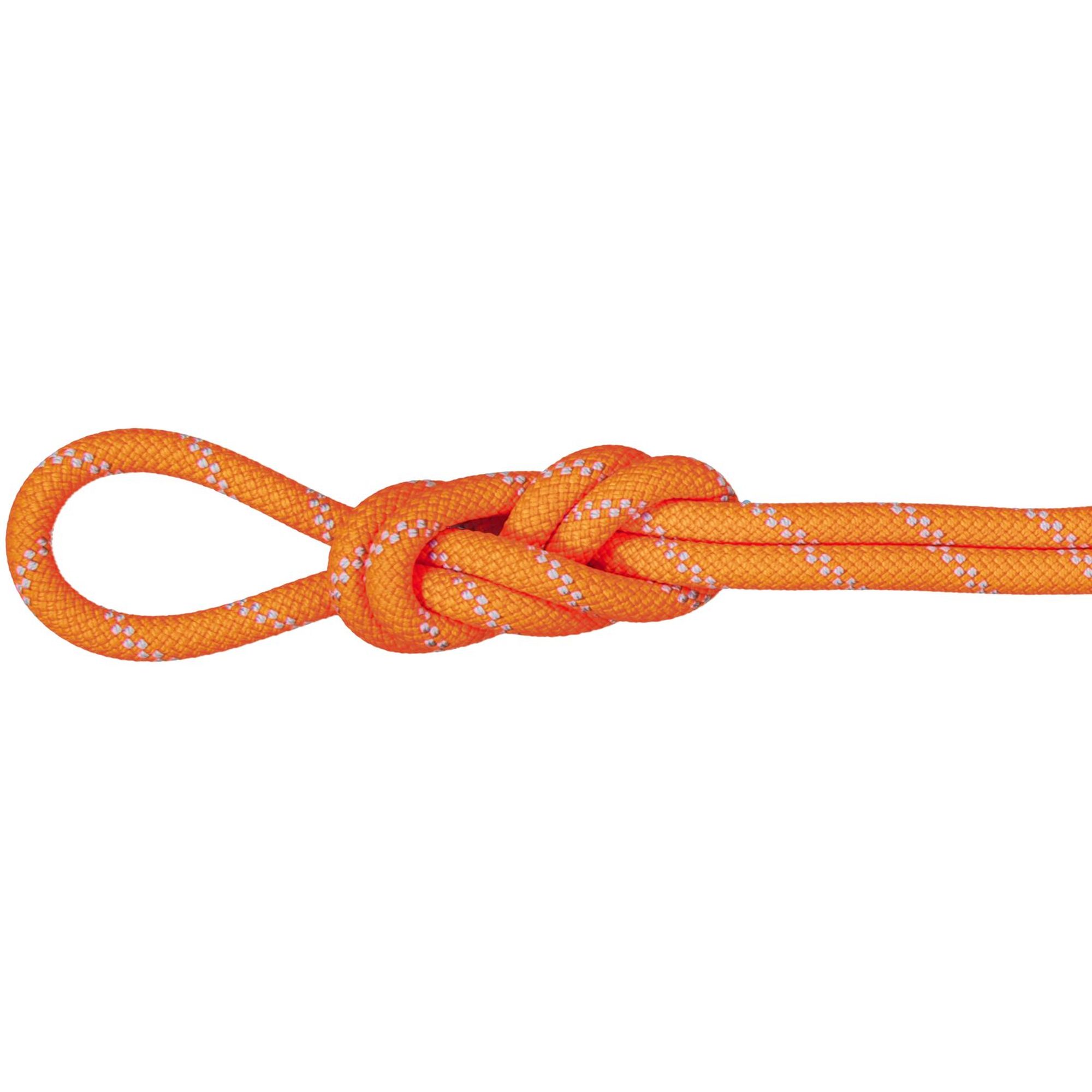 9.5 Alpine Dry Rope