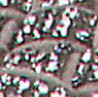 88302-20