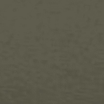 W NK1 BRA SPORT HO WT (Consume