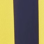Al Nassr FC Heimtrikot