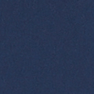 W Trekker Stretch Short