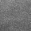 48830 GIRL WINGER GTX