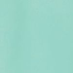 Women's Neyland Wind Jacket II