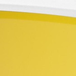 ultimate pace ultra CV