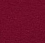 Climb Flower T-Shirt W