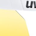 pace stage CV