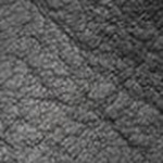 25464-43