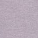 Parsons Point SS Scoop T