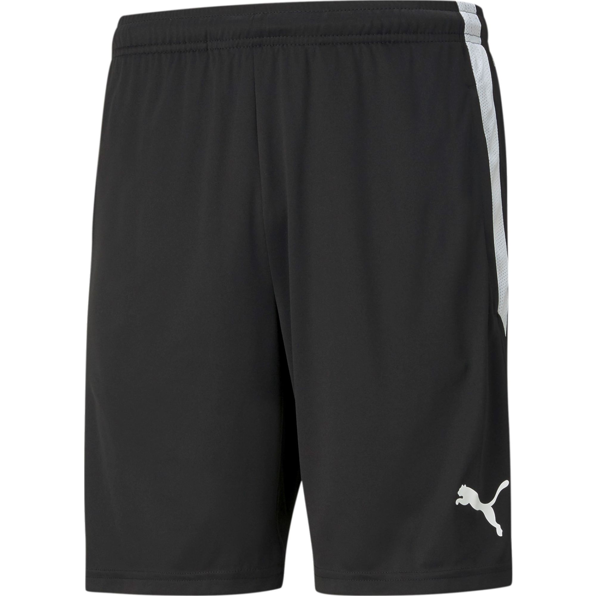 teamLIGA Training Shorts