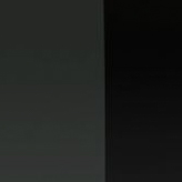 ASSASSIN PRO