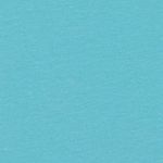 Ev Comp Logo SS Youth