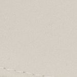 New Logo Embroidered Baseball Kappe