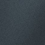 Alpine Pro 2/1 Shorts W