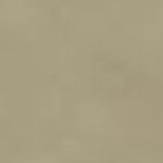 132.1113/99