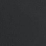 Shorts W's Vertic LT w/pad