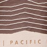 Rapid Ridge Back Graphic