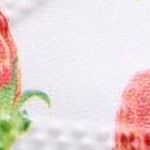 K's Classic Fresh Fruits