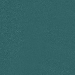 Swim Women Woven Shorts 1P