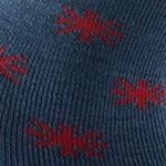 SAC Globi Ski