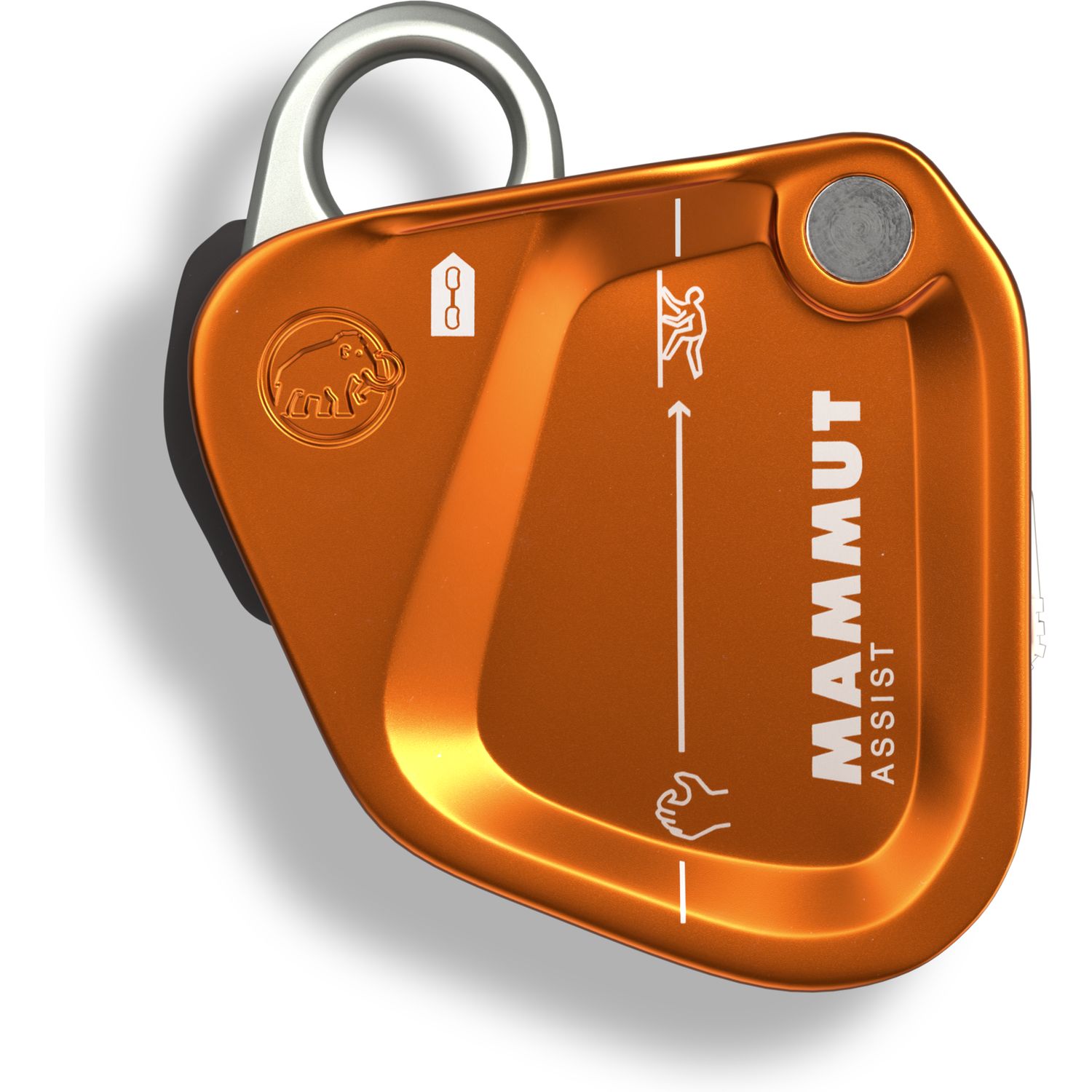 Mammut Assist Belay Resistor