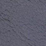 1030316 Florida BS BF