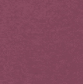 G NP DF ONE SS TOP SPORT VNR