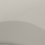 TAIPAN + R&uuml;cklicht