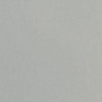 Shorts W's Vertic LT w/pad