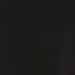 ESS ELEVATED Straight Leg Pant DK