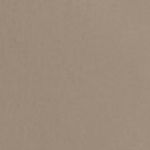 Shorts W's Vertic LT w/pad