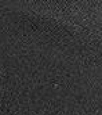 Franjo von Allmen R-Tex XT