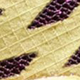 Sertig II Low GTX W