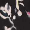 TRAVEL KIT midnight blooms / os M