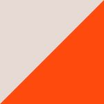 Accelerate Nitro SQD 4 Game On