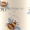 Emma Bridgewater 500ml