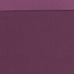 Aero Lina SUP Board 10.0 Package