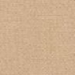 Regular RykerTZ Short