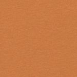 Ev Comp Logo SS Youth