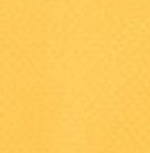 Inter Mailand 2024/25 Third Jersey Men