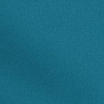 ESSENTIAL 5" VOLLEY SHORT