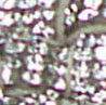 88302-20