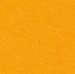 Comp Logo Hoodie Youth