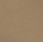 Women's Neyland Cargo ZO Pants