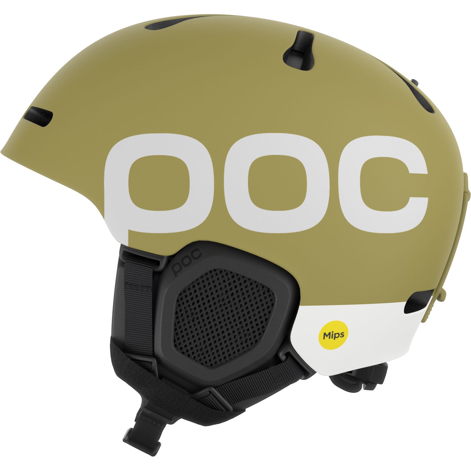 Fornix BC