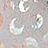 18626 PSW