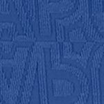 Swim Jacquard High Waist Briefs