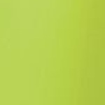 Schienbeinschutz WC Pro