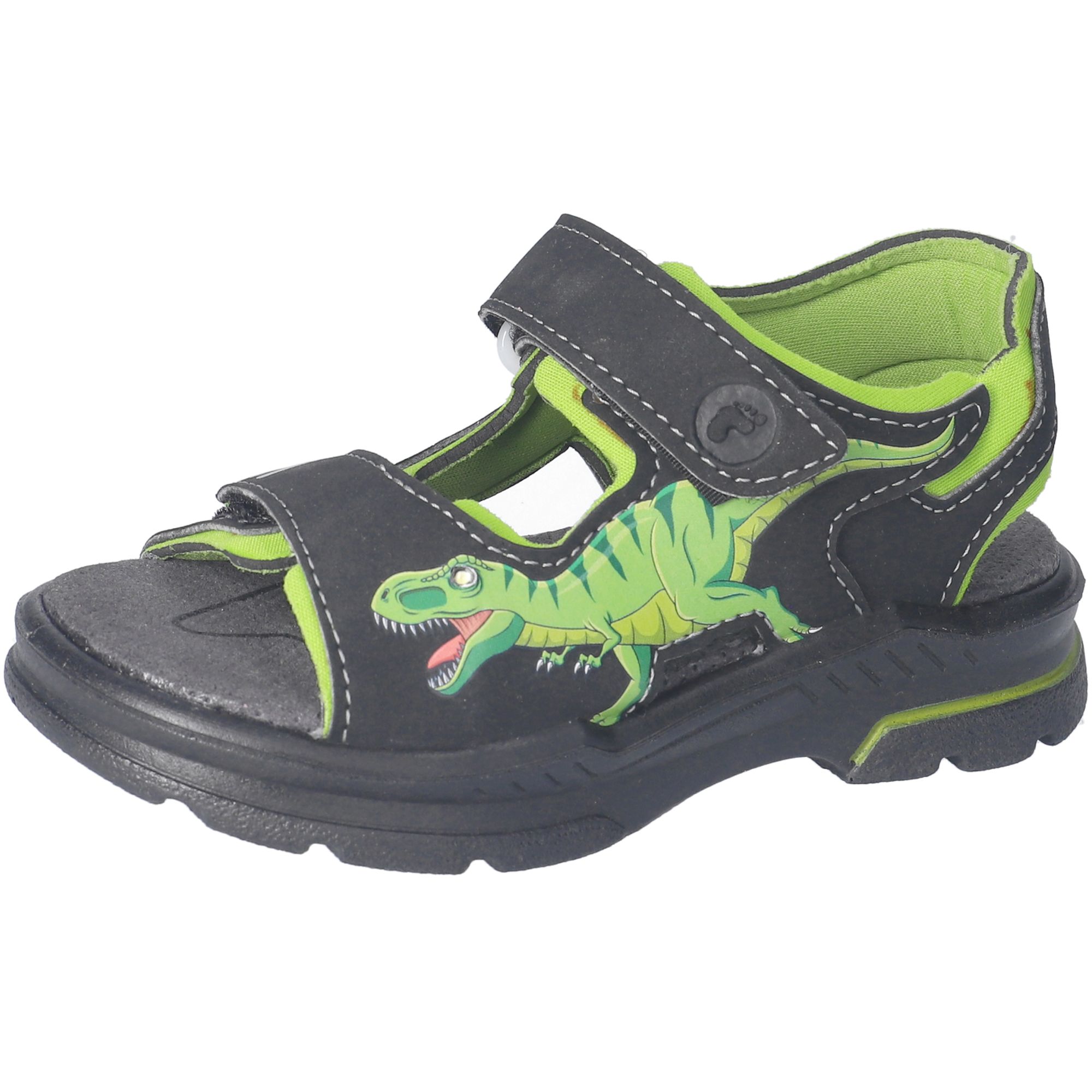 6200602 Saurus 6200602 Saurus