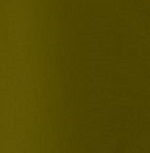 Women&rsquo;s Descendit Pant